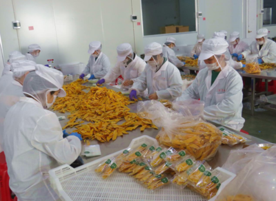 龍海市正豐食品的崛起之路 打造食品行業的名牌產品